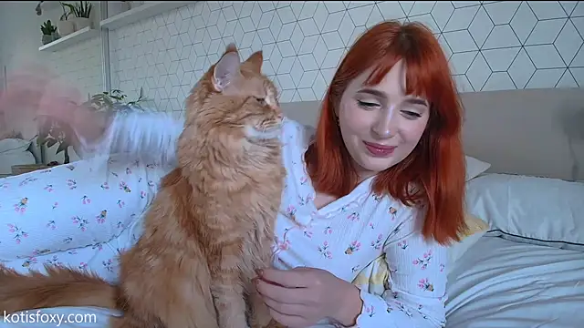 Kotis Foxy online show from 2, 12, 2024