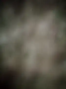 Snapshot of INDIANBOY7439 chatting on 5, 3, 2026 INDIANBOY7439 online show from 5, 3, 2026