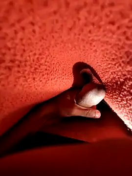 Snapshot of Ssdhaka11 chatting on 25, 12, 2024 Ssdhaka11 online show from 25, 12, 2024