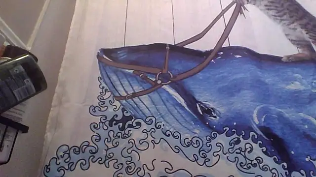 Snapshot of clitstitsandbongrips chatting on 16, 9, 2025 clitstitsandbongrips online show from 16, 9, 2025