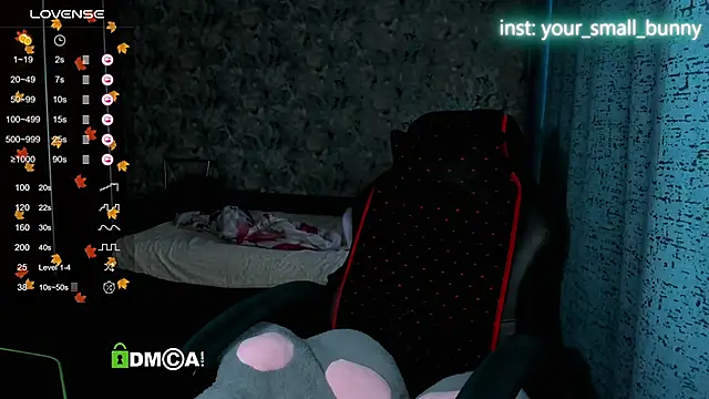 Your small bunny online show from 15, 11, 2025