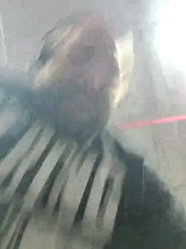 Strong Bear89 online show from 2, 12, 2024