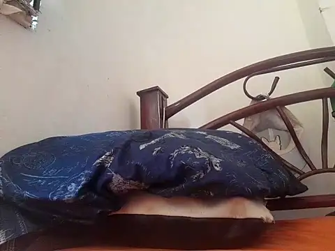  afrodita sex online show from 10, 2, 2025