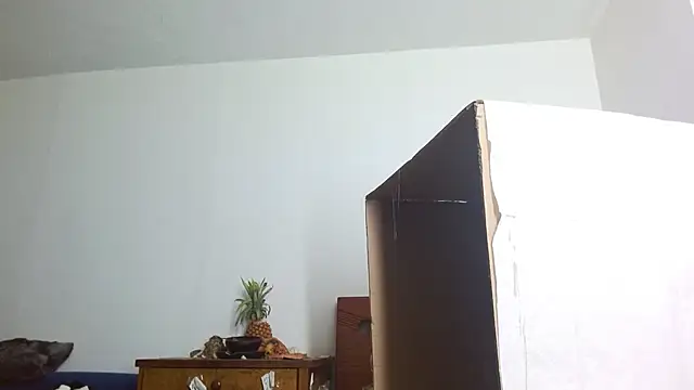 Party trans online show from 14, 12, 2024