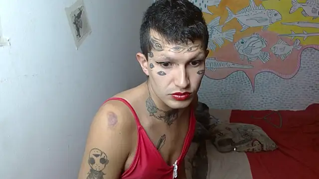 Party trans online show from 10, 2, 2025