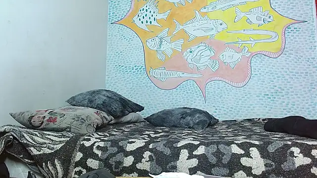 Party trans online show from 5, 3, 2025