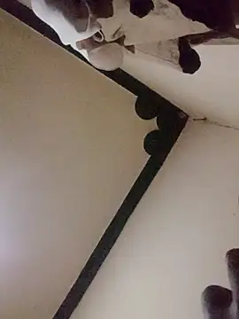 Snapshot of Danny_lady chatting on 16, 12, 2025 Danny lady online show from 16, 12, 2025