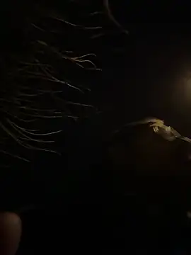 tipico0799 online show from 1, 3, 2025