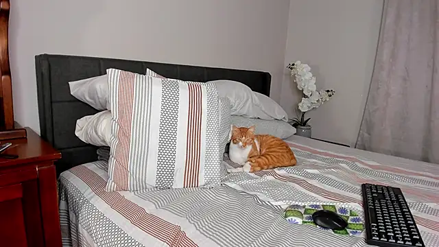 Angel 1997 online show from 18, 2, 2025