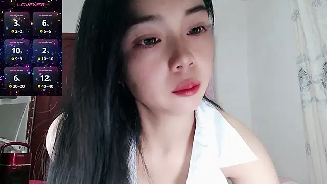 baoer-558 online show from 15, 12, 2024