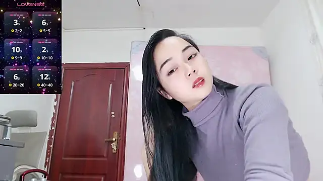 baoer-558 online show from 29, 12, 2024