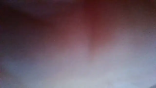 Evasapples online show from 20, 7, 2026