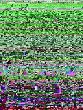 Harii 02 online show from 8, 2, 2025