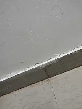 Tamilrojanew online show from 7, 3, 2026