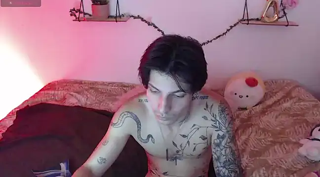 Snapshot of Apolo_Hidalgo01 chatting on 29, 12, 2024 Apolo Hidalgo01 online show from 29, 12, 2024