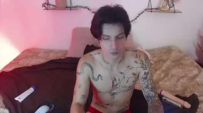 Snapshot of Apolo_Hidalgo01 chatting on 6, 1, 2025 Apolo Hidalgo01 online show from 6, 1, 2025