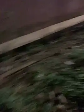 Black mamba madingo online show from 17, 1, 2025