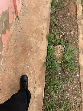 Black mamba madingo online show from 21, 2, 2026