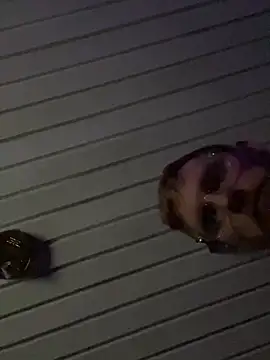 Snapshot of luv2cum7491 chatting on 20, 12, 2024 luv2cum7491 online show from 20, 12, 2024