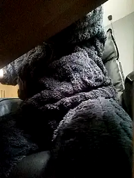 JJBOY-SF online show from 14, 3, 2025