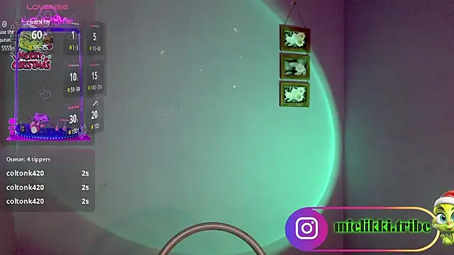 mielikki001 online show from 1, 1, 2025