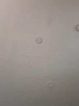 geilerschwanz64 online show from 6, 1, 2025