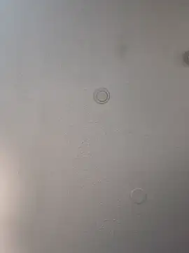 geilerschwanz64 online show from 17, 2, 2025