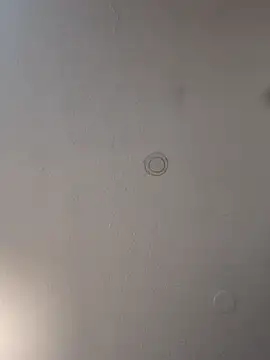 geilerschwanz64 online show from 19, 3, 2025