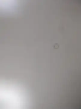 geilerschwanz64 online show from 15, 10, 2025