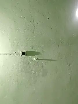 Snapshot of RADHAHO chatting on 29, 10, 2025 RADHAHO online show from 29, 10, 2025