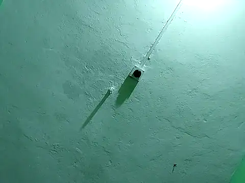 Snapshot of RADHAHO chatting on 2, 11, 2025 RADHAHO online show from 2, 11, 2025