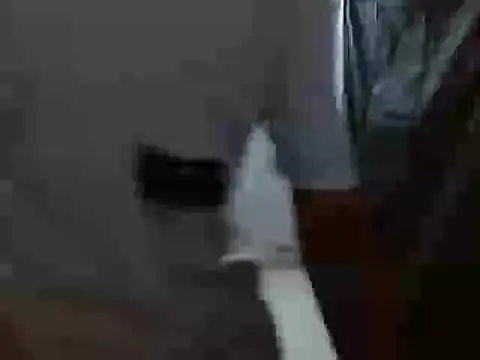 latino hotxxx online show from 20, 10, 2025