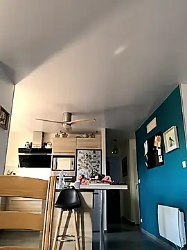 bogland33 online show from 18, 11, 2025