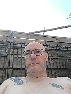 bogland33 online show from 11, 7, 2026