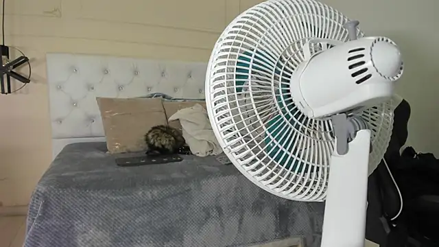 Slut Milf  online show from 23, 1, 2025