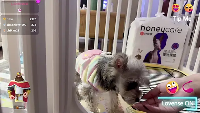 Snapshot of Bunny_Tutu chatting on 18, 1, 2025 Bunny Tutu online show from 18, 1, 2025