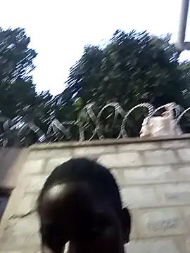 Hash beb online show from 17, 12, 2024