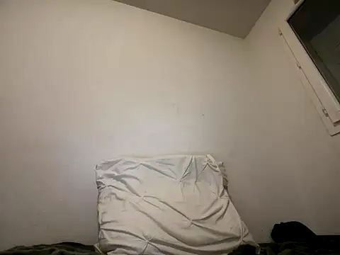 Rebeu313 online show from 17, 12, 2025