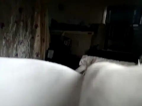 DevinToore online show from 16, 11, 2025