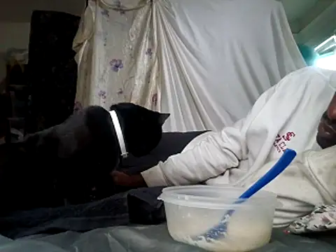 DevinToore online show from 15, 12, 2025