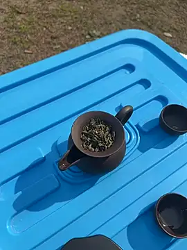 Snapshot of CN-Shanshan chatting on 1, 2, 2026 CN-Shanshan online show from 1, 2, 2026