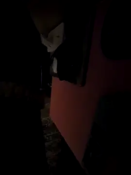 Snapshot of pumapatri chatting on 11, 3, 2026 pumapatri online show from 11, 3, 2026