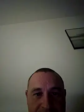 Vipbus online show from 8, 10, 2025