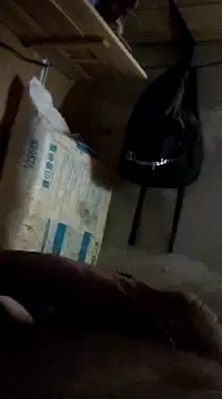 Snapshot of cockringkelley97 chatting on 1, 12, 2024 cockringkelley97 online show from 1, 12, 2024