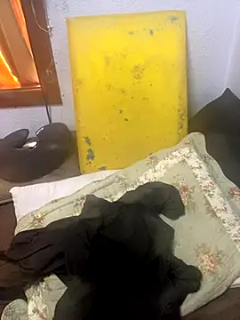 gloria7v05 online show from 11, 11, 2025