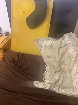 gloria7v05 online show from 19, 3, 2026