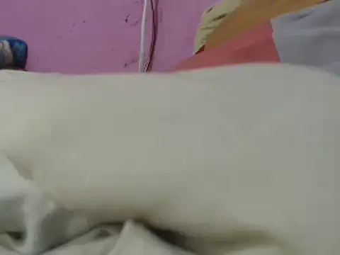 Cheliafun online show from 29, 6, 2026