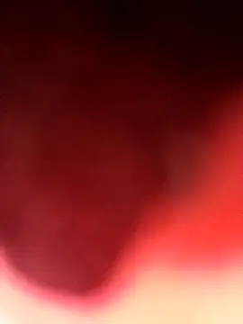 Virgin Pussy Love online show from 4, 8, 2026