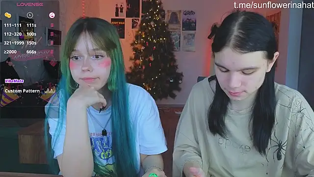 812sunflowerinahat online show from 15, 12, 2024