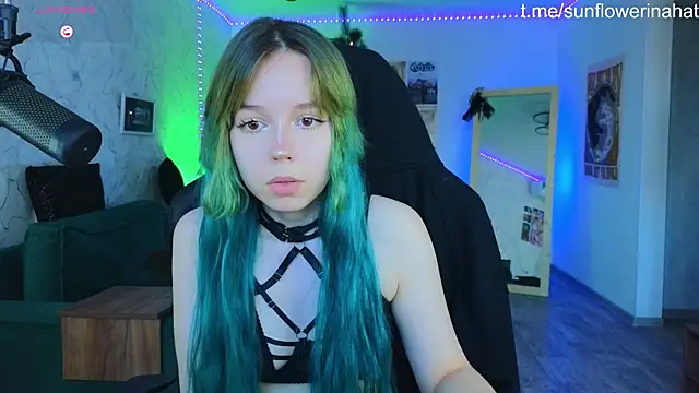 812sunflowerinahat online show from 19, 12, 2024